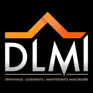 dlmi