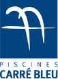 logo_carre_bleu